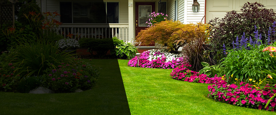Maynard Landscapers