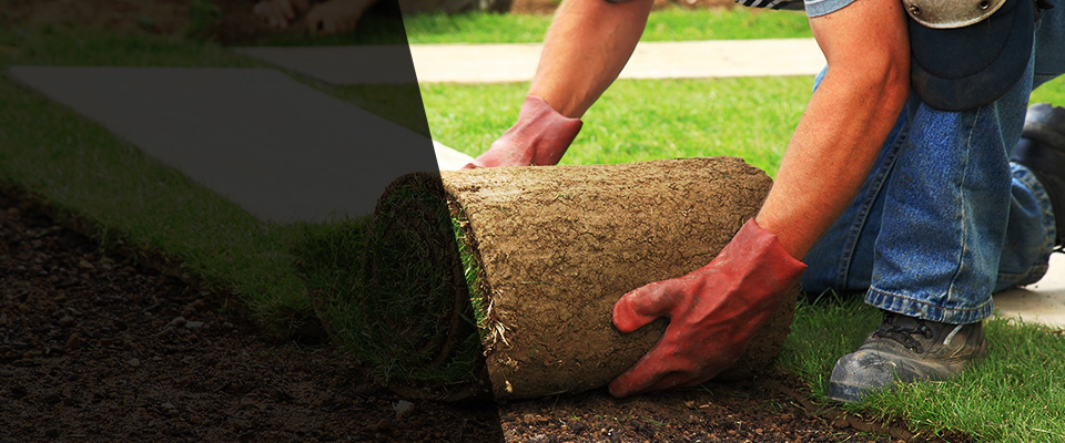 Maynard Landscapers